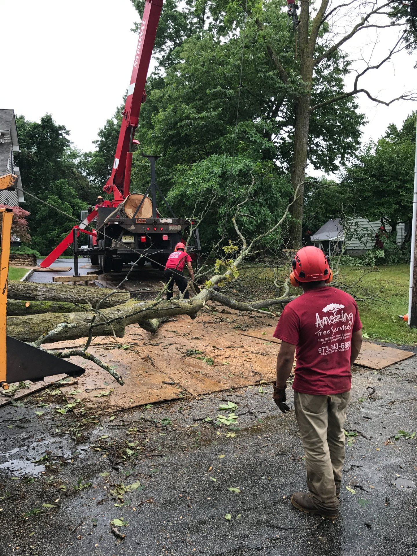 Amazing Tree Services crew loading cut tree sections after residential tree removal