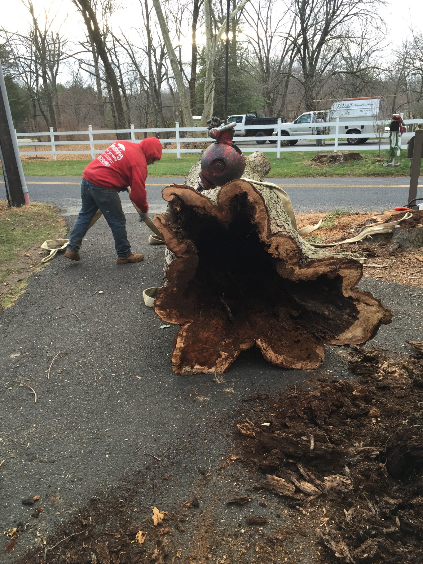 Crew removing large hollow tree trunk from residential property in North New Jersey